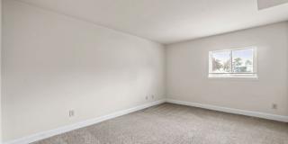Camden Hills Gallery 11