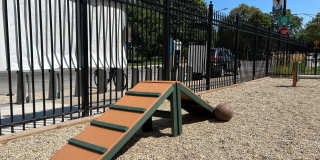 The Flamingo Gallery 9