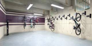 Arbuckle II Gallery 19