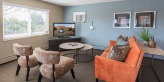 Winchester & Browning Gallery 6