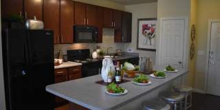 Oak Forest Gallery 3