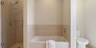 The Academy Gallery 12