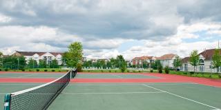 Somerset Park Gallery 6