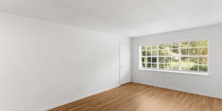 Element 26 Gallery 18