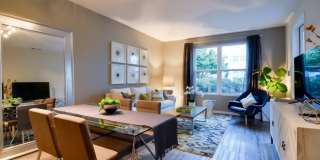 Domus on the Boulevard Gallery 4