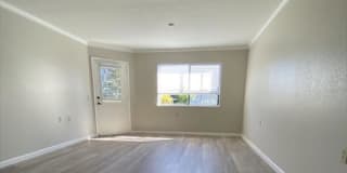 McInnis Park Gallery 11