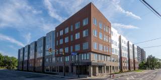 Axis at Ansel Axis at Ansel Gallery 14