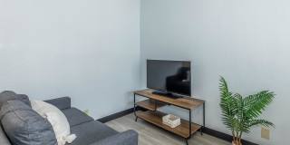 Vivo Living New Braunfels II Gallery 4