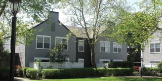 The Charleston Gallery 19