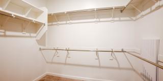 The Carson Gallery 21