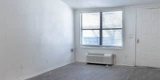 Orlando Sky Gallery 12