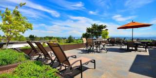 Ruth Court Gallery 19