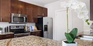 Promesa Promesa Gallery 15