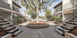 Rancho Vista Apts Gallery 14