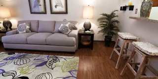 College Suites at City Station South - Student Housing Gallery 13