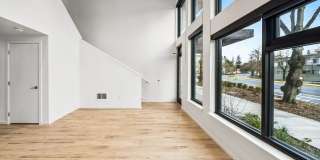 Owl Gallery 24