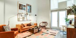 The Oasis Gallery 4