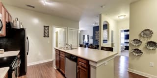 River Oaks Gallery 5