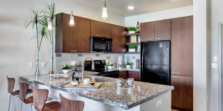 The Curve at Melrose Gallery 2