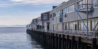 Oceana Gallery 23