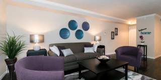 Harwood Hills Gallery 6