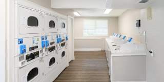 The Village at San Jose Gallery 8