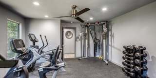 Serena Vista Gallery 11