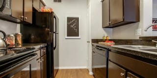 Vistas on the Park Gallery 1