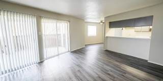 Trenton Place Gallery 29