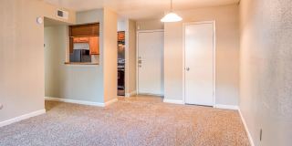 Summer Creek Gallery 4