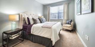 Arbuckle II Gallery 5