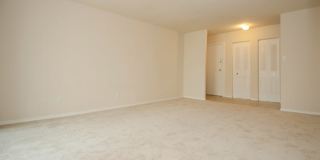 Camden Hills Gallery 28