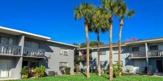 Hibiscus Place Gallery 10