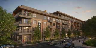 The Waylon Gallery 12