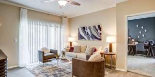 Sola Westchase Gallery 3