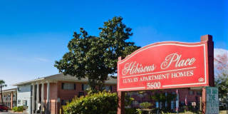 Hibiscus Place Gallery 13