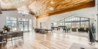 Volta at Voyager Gallery 2