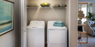 The Carlyle Gallery 23