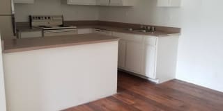 Cottonwood Creek Gallery 1