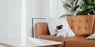 Savannah at North Dallas Gallery 7