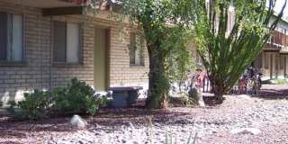 Mountain Plaza Gallery 28