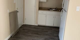 Cedar Elm Gallery 4