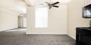 The Cecil Gallery 13