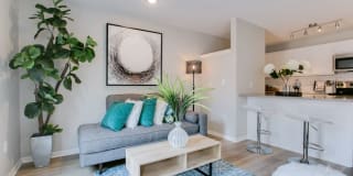 Loring Park Apartments Gallery 4