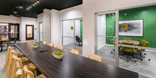 Radiate Gallery 24