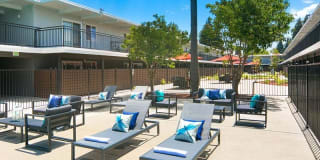 Aloha Apartments Gallery 17