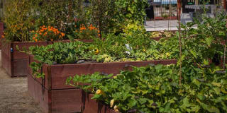 Rosemont Park Rosemont Park Gallery 29