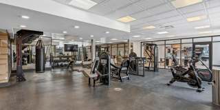 Albion on Lake Cook Gallery 5