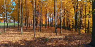 Breton Court Gallery 14