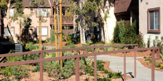 Rose Pointe Gallery 104